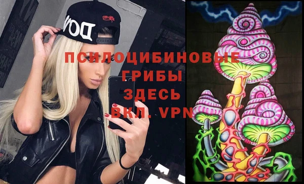 мет Арсеньев